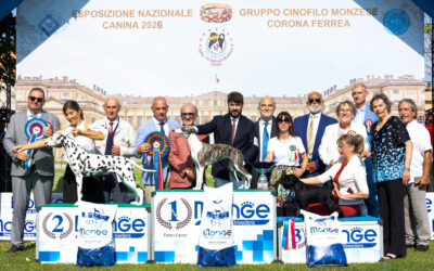 Grazie a tutti i giudici