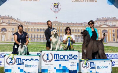 Le foto della XXXII Mostra Nazionale Canina di Monza
